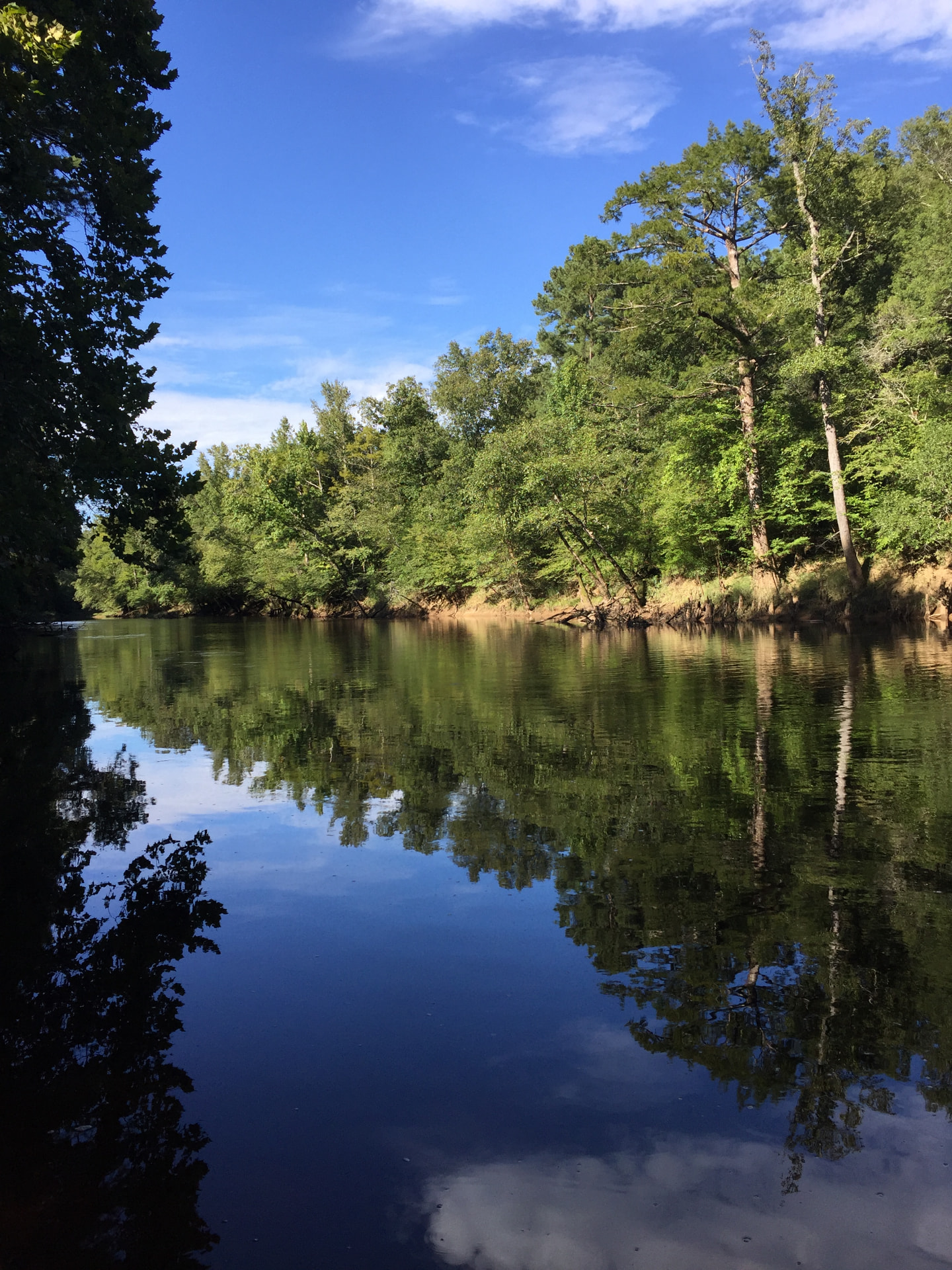 Still water of the Nottoway River reflecting the sky and the trees along the far bank